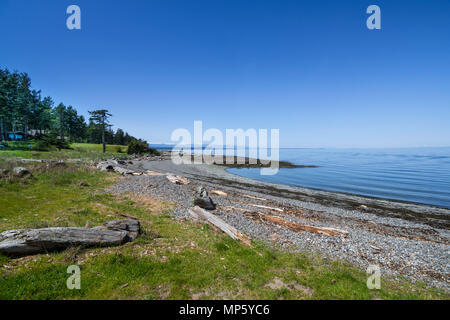 Litorale, Hornby Isola, BC, Canada. Foto Stock