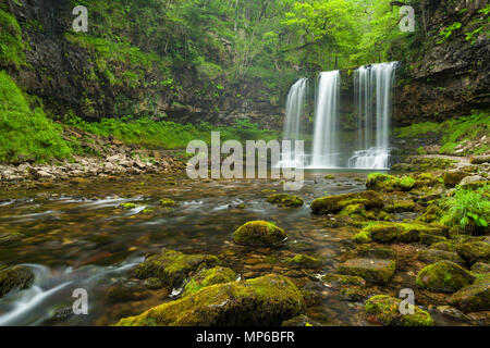 Sgwd yr Eira (cascata di neve) cascata sul fiume Afon Hepste nel Parco nazionale Bannau Brycheiniog (Brecon Beacons) vicino a Ystradfellte, Powys, Galles. Foto Stock