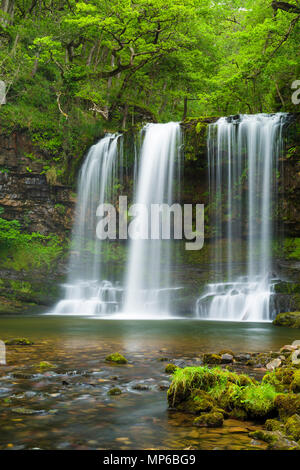 Sgwd yr Eira (cascata di neve) cascata sul fiume Afon Hepste nel Parco nazionale Bannau Brycheiniog (Brecon Beacons) vicino a Ystradfellte, Powys, Galles. Foto Stock