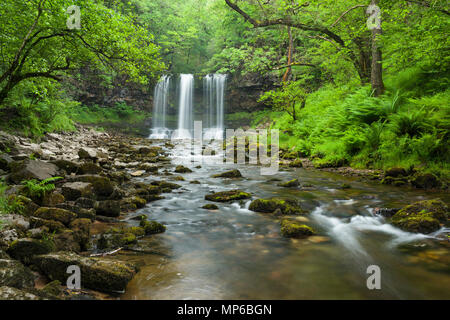 Sgwd yr Eira (cascata di neve) cascata sul fiume Afon Hepste nel Parco nazionale Bannau Brycheiniog (Brecon Beacons) vicino a Ystradfellte, Powys, Galles. Foto Stock