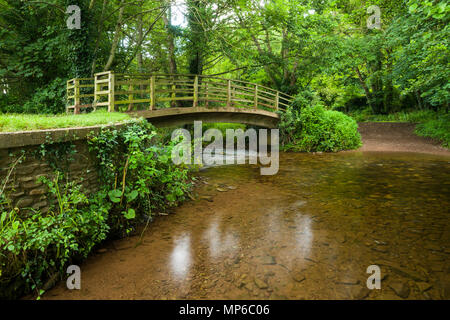 North Bridge e Ford su Horner acqua a Bossington nel Parco Nazionale di Exmoor, Somerset, Inghilterra. Foto Stock