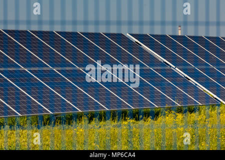 Grin energia elettrica pulita - pannello solare esterno sul campo in erba foto-voltaico Foto Stock