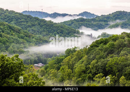 La nebbia aleggia sopra un Central Appalachian Valley. Foto Stock