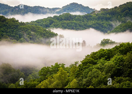 La nebbia aleggia sopra un Central Appalachian Valley. Foto Stock