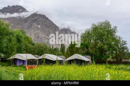 Tented campi del turismo in Ladakh, India. Ladakh è il più grande altopiano dello stato di Jammu e Kashmir con gran parte di essa essendo oltre 3000m. Foto Stock