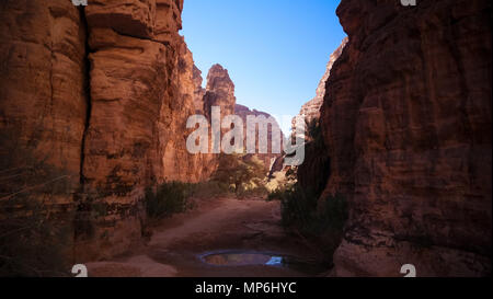 Bizzare formazione rocciosa a Essendilene in Tassili nAjjer national park, Algeria Foto Stock