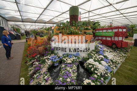 Royal Hospital Chelsea, Londra, Regno Unito. 21 Maggio, 2018. Premere il tasto giorno per la RHS Chelsea Flower Show 2018. Foto: Vista del giardino Windrush progettato da Birmingham City Council & La Baronessa Floella Benjamin. Credito: Malcolm Park/Alamy Live News. Foto Stock