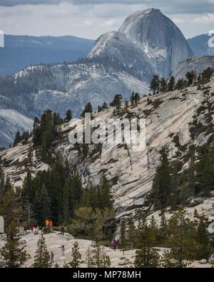 Il parco nazionale di Yosemite in California, Stati Uniti d'America. 21 Maggio, 2018. Parco Nazionale di Yosemite i visitatori a piedi in prossimità del punto di Olmsted area di visualizzazione lungo la Tioga Road (Highway 120 East). Tioga Road aperto per la stagione di tutto il traffico veicolare oggi, lunedì, 21 Maggio 2018.Ci sono servizi limitati disponibili lungo Tioga Road e tutti i campeggi lungo la Tioga Road rimangono chiuse. Parco Nazionale di Yosemite è aperto tutto l'anno. Per aggiornati 24 ore di strada e alle condizioni meteorologiche per Yosemite National Park, si prega di chiamare il numero 209-372-0200. Credito: Tracy Barbutes/ZUMA filo/Alamy Live News Foto Stock