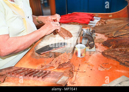 Donna fare a mano appena arrotolato di sigari in fabbrica di tabacco, Cuba Foto Stock