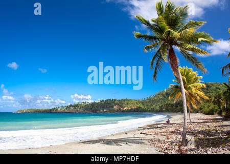 Bella spiaggia tropicale in Baracoa, provincia di Guantanamo, Cuba Foto Stock