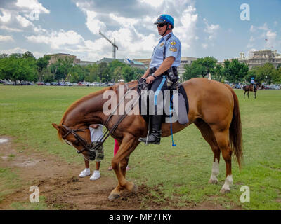 Poliziotto sul suo cavallo, cercando di mantenere un perimetro di sicurezza di fronte al Whitehouse, in Washington DC, Stati Uniti d'America Foto Stock