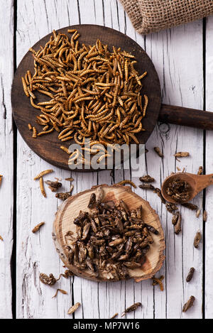 Alta angolazione di una pila di vermi fritte condite con aglio ed erbe aromatiche e una pila di grilli fritti conditi con cipolla e salsa barbecue, in woode Foto Stock