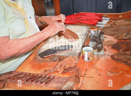 Elaborazione di donna le foglie di tabacco e rendendo i sigari con strumenti semplici Foto Stock