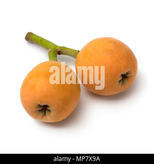 Coppia di fresche raccolte mature loquats isolati su sfondo bianco Foto Stock