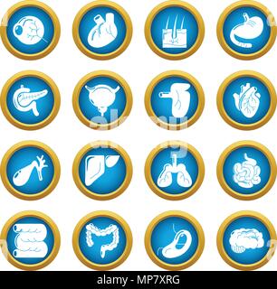 Interno di organi umani set di icone, stile semplice Illustrazione Vettoriale