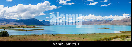 nuova zelanda isola del sud nuova zelanda sponda del lago glaciale tekapo mackenzie distretto canterbury regione nuova zelanda nz lago tekapo nuova zelanda Foto Stock