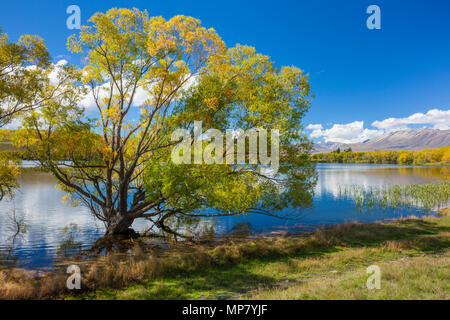 Il lago di Mcgregor vicino tekapo Nuova Zelanda Isola del Sud della Nuova Zelanda paesaggio lake shore regione di Canterbury mackenzie district'Isola Sud della Nuova Zelanda nz Foto Stock