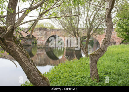 Vista del Devorgilla Bridge dalle Whitesands di Dumfries, Scozia, in un giorno coperto all'inizio dell'estate. Foto Stock