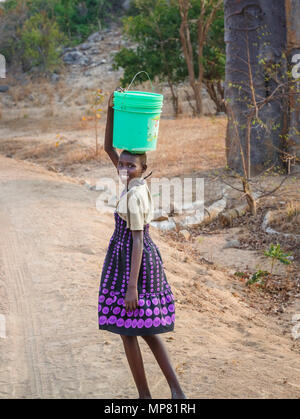 Locale sorridente giovane ragazza africana che trasportano le benne verde sul suo capo in una zona arida del Likoma Island, il Lago Malawi Malawi, sud-est Africa Foto Stock