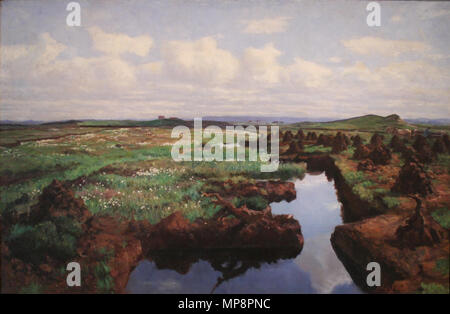 764 Tourbière à Jaeren Foto Stock