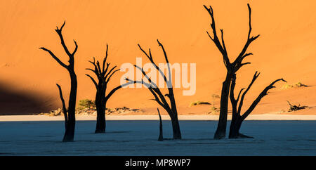 Fortemente bella Deadvlei, Sossusvlei, Namib-Naukluft National Park, Namibia. Foto Stock