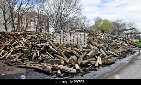 Legno in deposito, tagliare il log e pronto per la vendita. Foto Stock