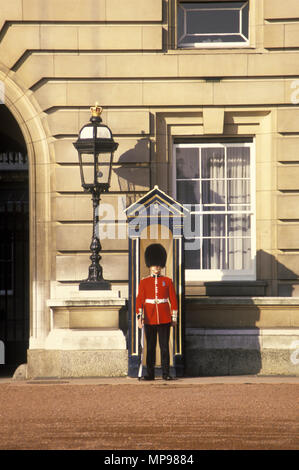 1988 storico permanente di guardia SENTINELLA BUCKINGHAM PALACE Londra Inghilterra REGNO UNITO Foto Stock