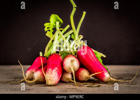 Red Ravanelli isolata contro uno sfondo nero Foto Stock