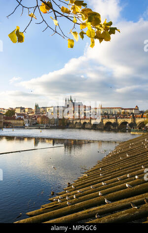 Praga con Charles ponte attraverso il fiume Vltava e il castello di Hradcany complesso in golden colori autunnali. Viaggi, vacanze e visite turistiche concetto con negativo Foto Stock