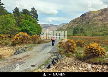 Percorso attraverso Benmore Estates a Loch Ba sul Isle of Mull Foto Stock