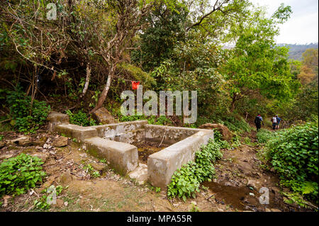 La molla vicino al vecchio albero di mango a) Percorrere Village molte volte descritto da Jim Corbett nel suo libro Maneaters del Kumaon, Kumaon Hills, Uttarakhand, India Foto Stock