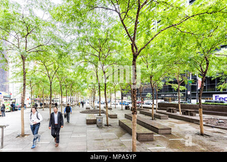 La città di New York, Stati Uniti d'America - 30 Ottobre 2017: New York Manhattan inferiore distretto finanziario downtown, NYSE, verdi alberi in Zuccotti Park, vacanze luci illuminate Foto Stock