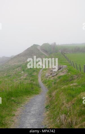 Scogliera di avvolgimento percorso superiore nell'oscurità di una molla mare di nebbia. Cove Bay, Aberdeen Scotland, Regno Unito. Foto Stock