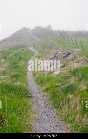 Scogliera di avvolgimento percorso superiore nell'oscurità di una molla mare di nebbia. Cove Bay, Aberdeen Scotland, Regno Unito. Foto Stock