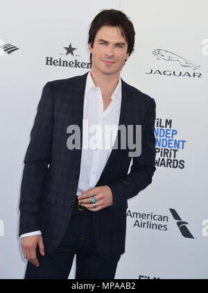 Ian Somerhalder 119 al 2016 Film Independent Spirit Awards sulla spiaggia di Santa Monica a Los Angeles. Febbraio 27, 2016.Ian Somerhalder 119A ------------- Red Carpet Event, verticale, STATI UNITI D'AMERICA, industria cinematografica, celebrità, fotografia, Bestof, arte cultura e intrattenimento, Topix celebrità moda / Verticale, meglio di, evento nella vita di Hollywood - California, moquette rossa e dietro le quinte, USA, industria cinematografica, celebrità, movie celebrità, personaggi televisivi, musica celebrità, fotografia, Bestof, arte cultura e intrattenimento, Topix, tre quarti, verticale, una persona, dall'anno , 2016, inqu Foto Stock