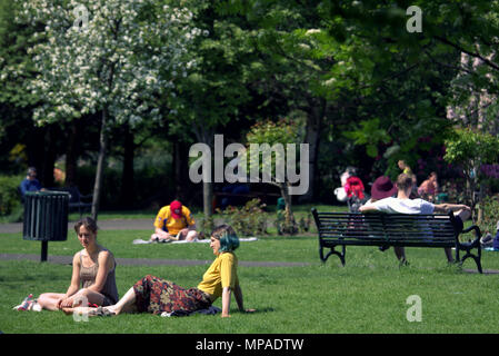 Tempo soleggiato sopra la città ha portato la gente del posto e i turisti nelle strade per rubinetti aff meteo. Kelvingrove Park, ho visto un sacco di lucertole da mare. Foto Stock