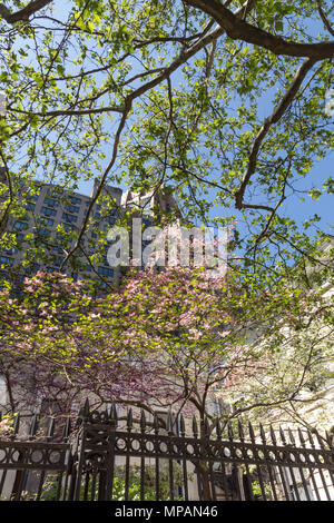 New York nuova chiesa (Swedenborgian) sembra bello in primavera, Murray Hill, NYC, STATI UNITI D'AMERICA Foto Stock