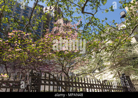 New York nuova chiesa (Swedenborgian) sembra bello in primavera, Murray Hill, NYC, STATI UNITI D'AMERICA Foto Stock