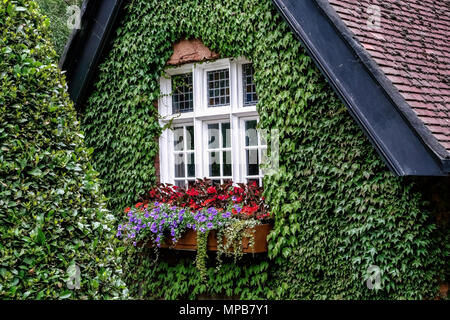 Ardilaun Lodge, Parco Verde di Santo Stefano (1663). Ivy casa coperta, pubblico vittoriano Garden Park, centro città, Dublino, Repubblica d'Irlanda, Europa UE Foto Stock