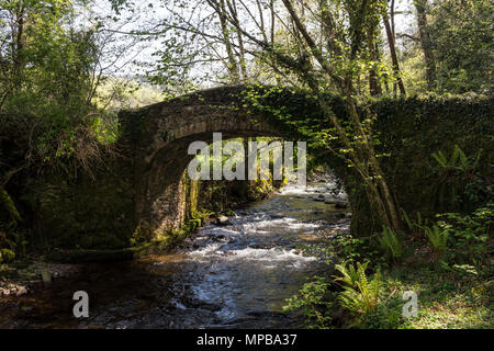Packhorse Bridge Over Horner Water on the Coleridge Way, Horner, Near Porlock, Exmoor National Park, Somerset, UK. Foto Stock