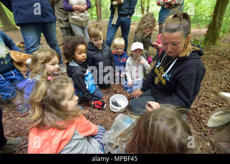 I bambini in una scuola della foresta - Natura Tots, nella foresta Friston, East Sussex. Foto Stock