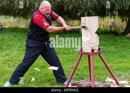 Taglio del legno display a Stokesley mostrano, North Yorkshire, Inghilterra, Regno Unito Foto Stock