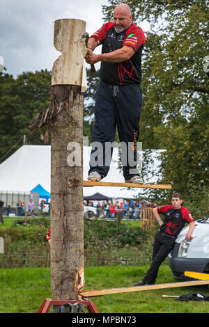 Taglio del legno display a Stokesley mostrano, North Yorkshire, Inghilterra, Regno Unito Foto Stock