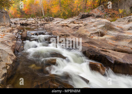 Coo Canyon in caduta, Maine Foto Stock