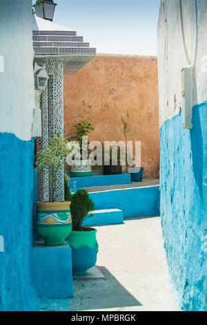 Strada colorata con piante nella Medina di Rabat, Marocco Foto Stock