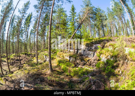 Antica abbandonata piccola cava in giovane foresta in Lillomarka vicino ad Oslo. Foto Stock