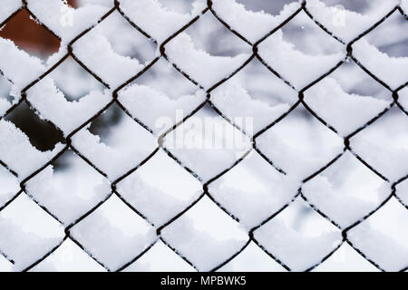 La neve sulla griglia. Maglia di ferro ricoperto di neve in inverno. Recinzioni in neve Foto Stock