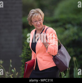 A Downing Street, Londra, Regno Unito. 22 maggio 2018. Andrea Leadsom, leader di Commons di Downing Street per settimanale riunione del gabinetto. Credito: Malcolm Park/Alamy Live News. Foto Stock