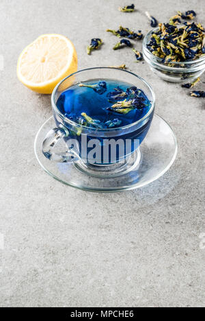 Bibite salutari, organico blue butterfly pea flower tè con cedri e limoni, cemento grigio Sfondo spazio di copia Foto Stock