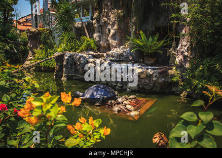 Tempio di Wat Prayoon (Turtle tempio a Bangkok, Thailandia. Foto Stock